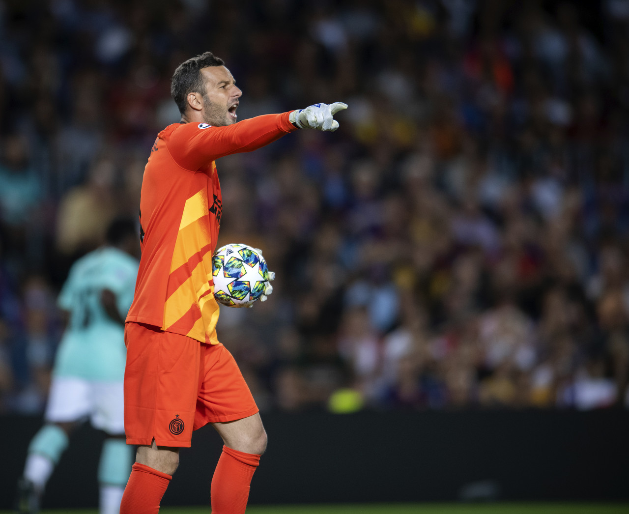 总冠军球队 总冠军球队